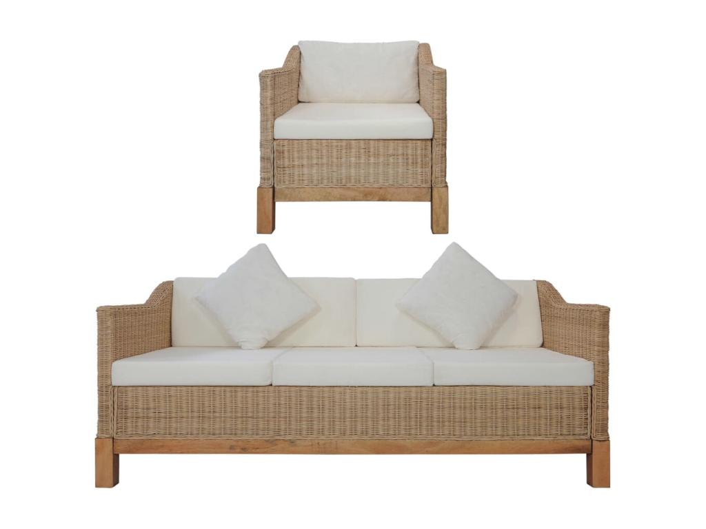 2-piece sofa set with cushions, natural rattan