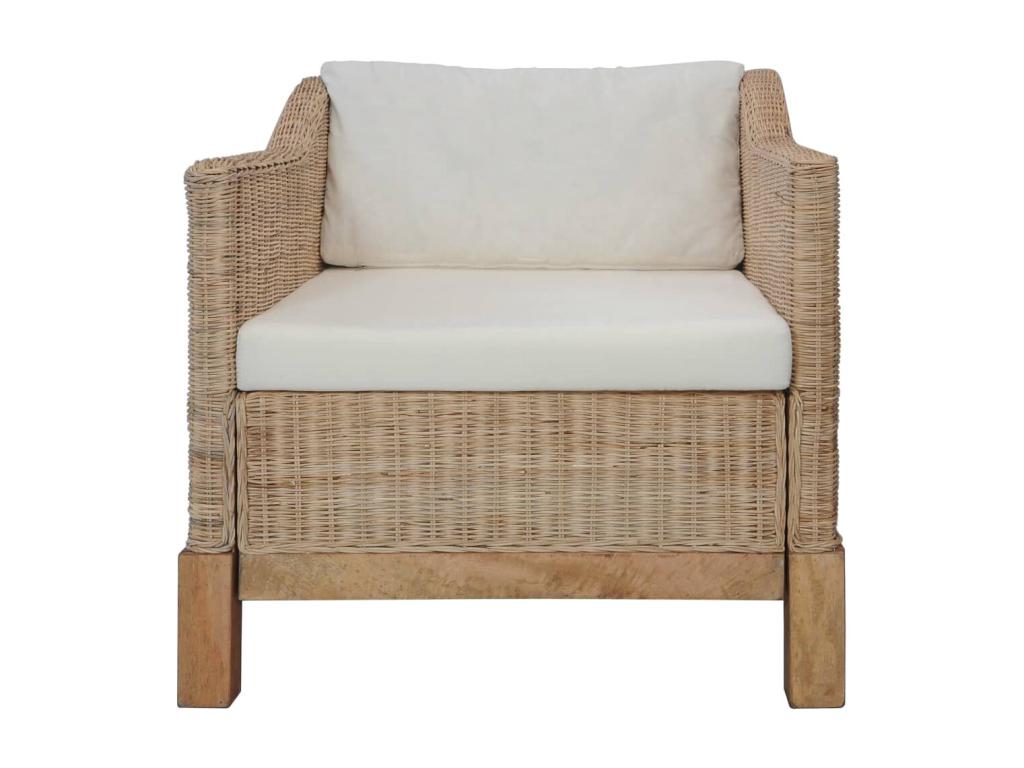 2-piece sofa set with cushions, natural rattan