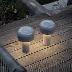 USB Rechargeable LED Cordless Table Lamp | Mushroom Desk Lamp