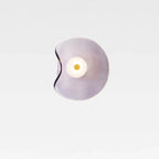 MP S25 Glass Surface Mount Sconce